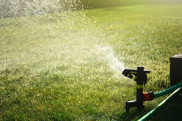 Разбрызгиватель, поливающий зеленую траву
 - Фото, изображение