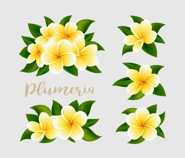 Ρεαλιστικά λευκά κίτρινα φτερά και λουλούδια με πράσινα φύλλα απομονωμένα - Διάνυσμα, εικόνα