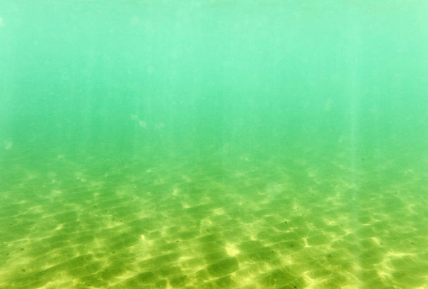 fundo marinho, vista fotografia subaquática
 - Foto, Imagem