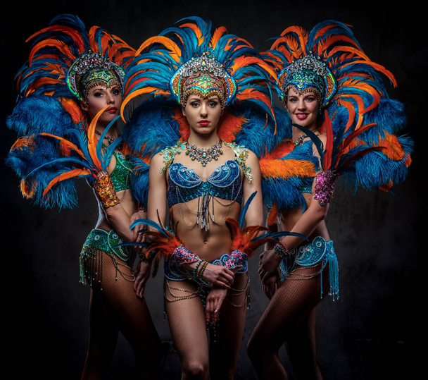 Retrato de estudio de una bailarina profesional de grupo con trajes de plumas de carnaval suntuosos y coloridos
. - Foto, imagen