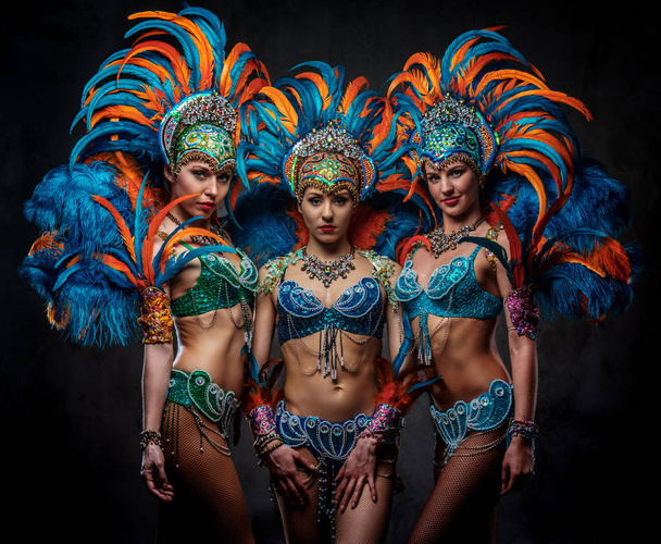 Renkli görkemli karnaval tüy üyü takım elbiseli bir grup profesyonel dansçılar kadın Stüdyo portresi. - Fotoğraf, Görsel