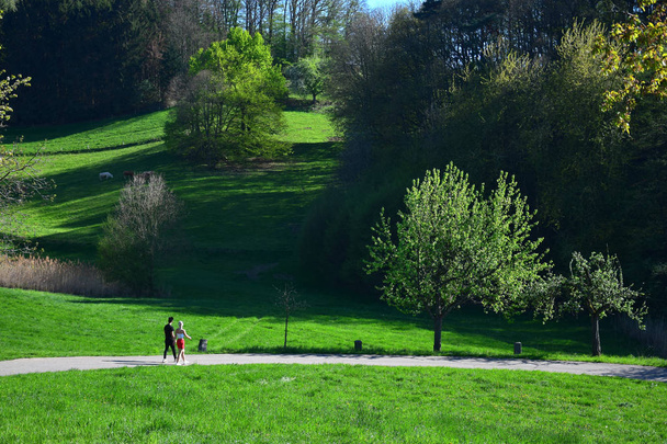 Mladý pár kráčel po stezce v nádherné krajině na jaře v Odenwaldu, v Německu. - Fotografie, Obrázek
