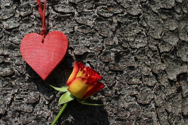 un corazón rojo y una rosa
 - Foto, Imagen