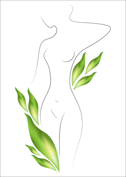Silhouette of a beautiful lady. The girl is slim and elegant. Near it there are green leaves. Suitable for cosmetics advertising. Vector illustration - Vector, Image