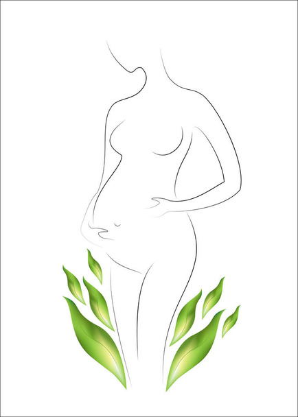Silhouette of a beautiful lady. The girl is slim and elegant. Near it there are green leaves and a green background. Suitable for cosmetics advertising. Vector illustration - Vector, Image