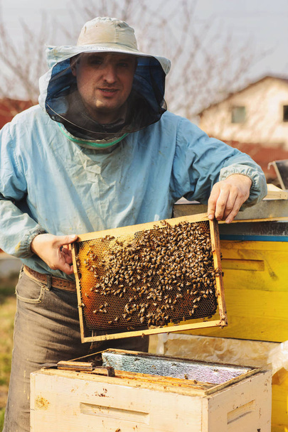 Imker arbeitet mit Bienen und Bienenstöcken am Imkerstand - Foto, Bild