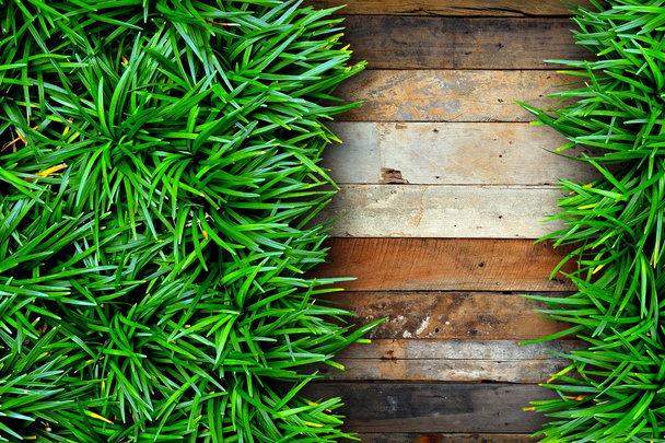 Green grass on wood background. - Photo, image