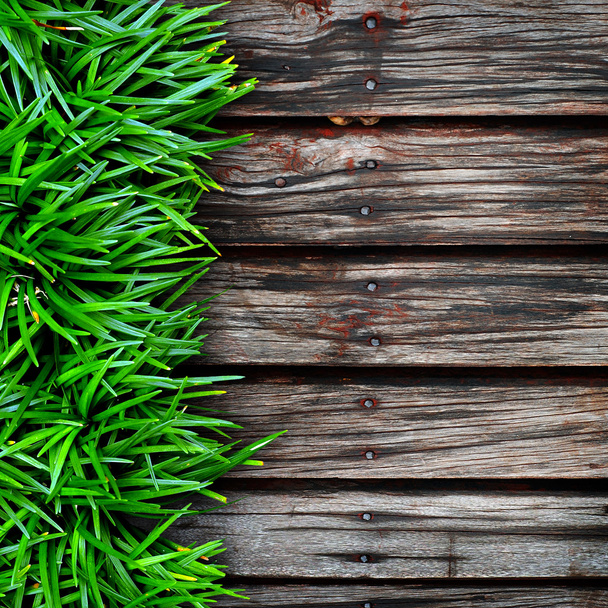 Green grass on wood background. - Foto, Bild