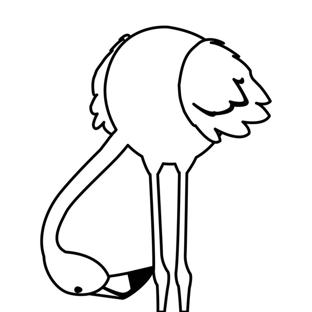 εξωτικό φλαμανδικό πουλί με το κεφάλι κάτω - Διάνυσμα, εικόνα