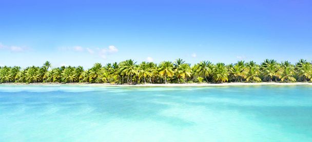 Geweldig zandstrand met kokospalmen en blauwe lucht. Caribische Zee kust - Foto, afbeelding