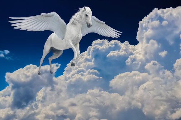 Pegasus ailé légendaire cheval blanc volant avec des ailes déployées dans un ciel nuageux
 - Photo, image