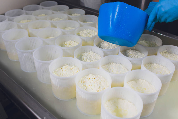 Крупный план человека, формирующего сыр в пластиковые формы на небольшой производственной ферме. - Фото, изображение