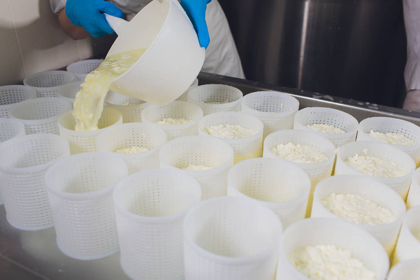 Primo piano di un uomo che forma il formaggio negli stampi di plastica della piccola azienda agricola. - Foto, immagini
