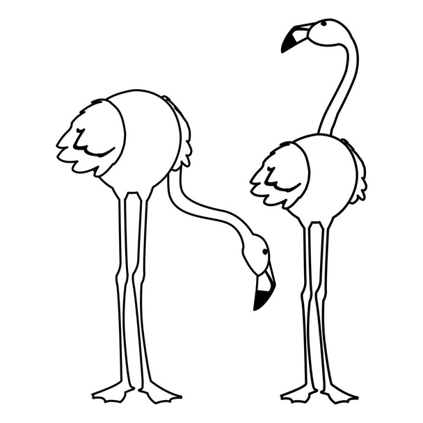 εξωτικό φλαμανδικό ζευγάρι πουλιά με διαφορετικές ποζάρει - Διάνυσμα, εικόνα