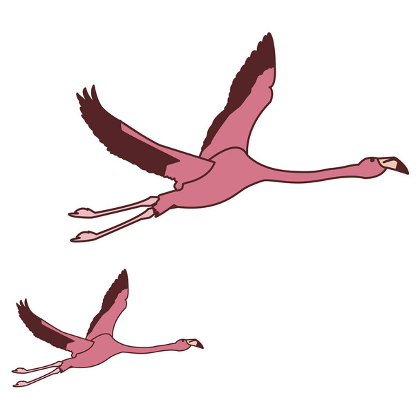εξωτικά ροζ Φλαμανδικά ζευγάρι πουλιά που πετούν - Διάνυσμα, εικόνα