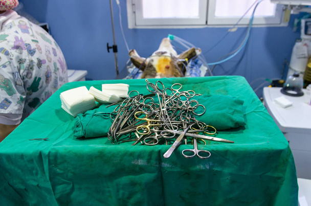 Matériel chirurgical stérile récemment ouvert
 - Photo, image