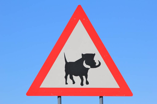 close-up shot of warthog road sign in front of blue sky - Foto, afbeelding