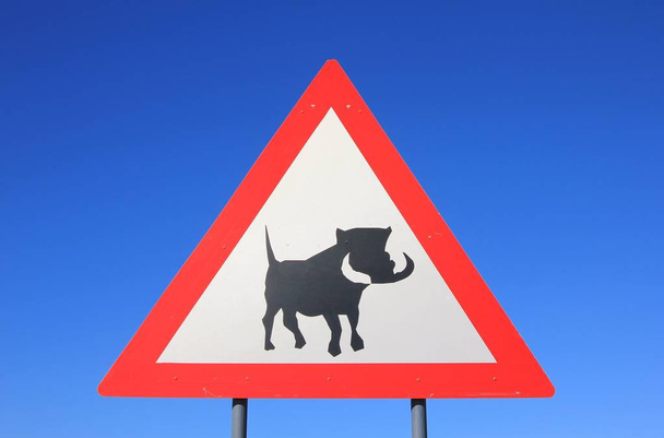 close-up shot of warthog road sign in front of blue sky - Foto, Imagen
