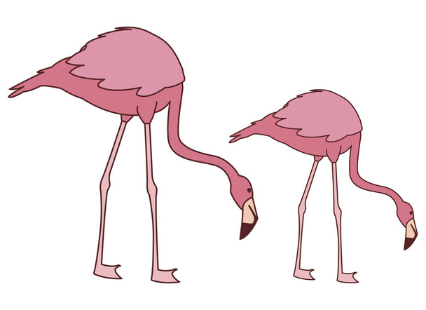 εξωτικά ροζ Φλαμανδικά ζευγάρι πουλιά με τα κεφάλια κάτω - Διάνυσμα, εικόνα