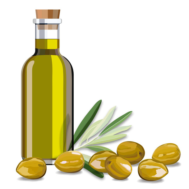 Aceite de oliva y rama de olivo sobre fondo blanco
 - Vector, Imagen