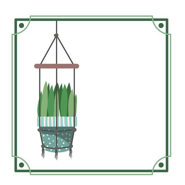 frame with houseplant on macrame hangers - Vector, Image