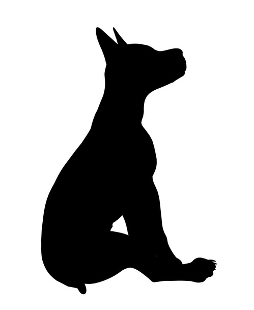 子犬犬の図のシルエット - 写真・画像