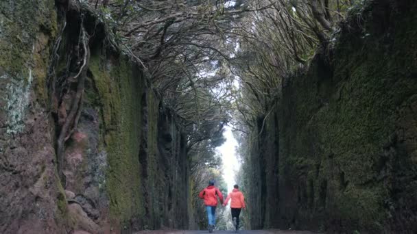Genç iyimser çift, Tenerife 'deki Anaga doğa parkında ağaçlarla kaplı bir yolda kayaların arasından aşağı koşuyor. Şiddetli rüzgar ağaçları dallandırır - Video, Çekim