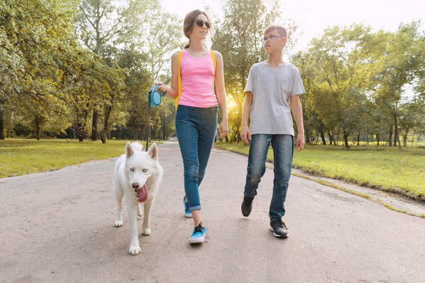 Group of children walking with a white husky dog, park road background. - Zdjęcie, obraz