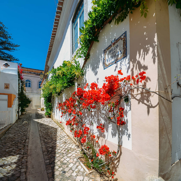 Narrow, cozy and beautiful streets of Cascais, district of Lisbon, Portugal during sunny day - Foto, Imagen
