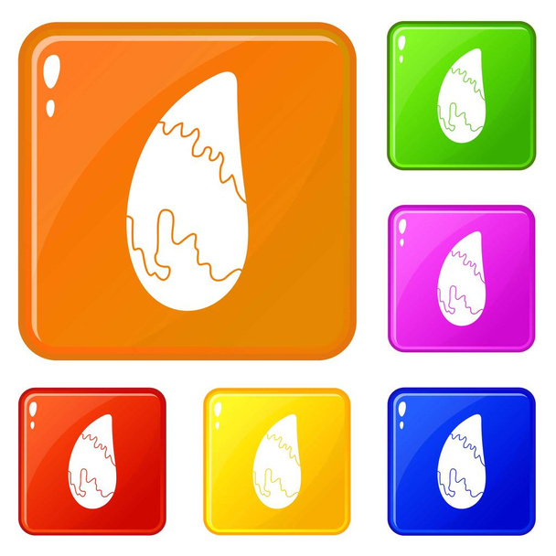 Brazil nut icons set vector color - Vector, Image