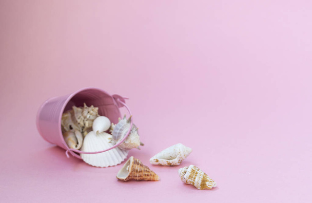 Sea shells of various sizes are scattered from a pink bucket on a pink background, empty space to the right. - Fotografie, Obrázek