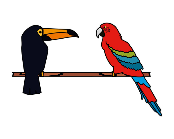 tropical and exotic parrot with toucan - Vector, Image