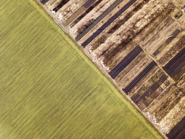 Paisagem agrícola do ar. Estrada estreita reta entre campos arados verdes, secos e marrons ensolarados
. - Foto, Imagem