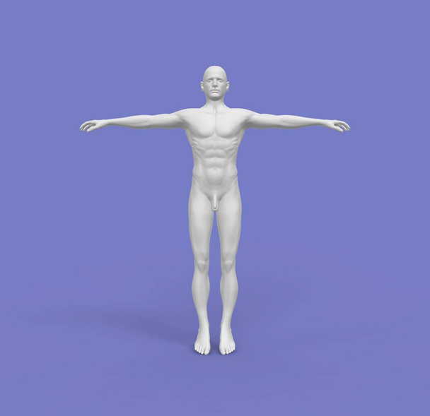 Hombre humano cuerpo 3D renderizado
 - Foto, Imagen