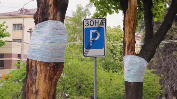 Ein Baum auf der Straße mit aufgesetztem Insektenfallen-Absperrband. Zeichen - Filmmaterial, Video