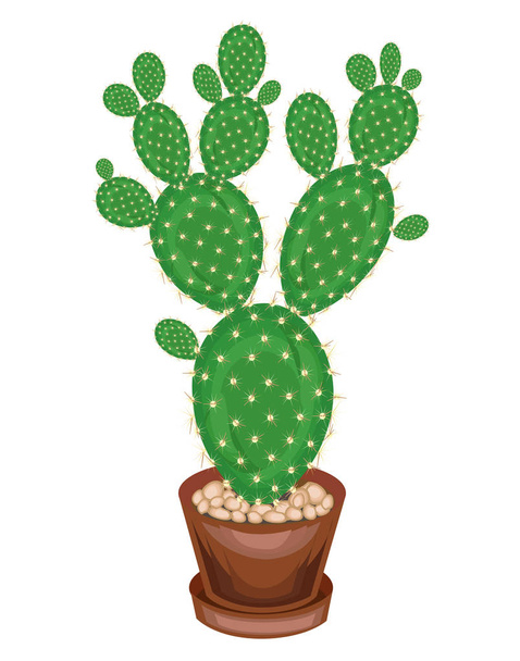 wird eine Topfpflanze gezeigt. Kaktus opuntia mit flachen saftig grünen, mit scharfen Dornen bedeckten Stielen. Liebliches Hobby für Kakteensammler. Vektorillustration - Vektor, Bild