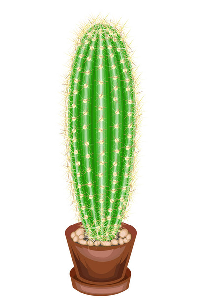 Kolorowy obraz. Roślina doniczkowa w garnku. Zielony Kaktus jest sferyczny z guzków pokryte kolce. Mammillaria, hymnocalicium. Piękne hobby dla kolekcjonerów kaktusów. Ilustracja wektorowa - Wektor, obraz