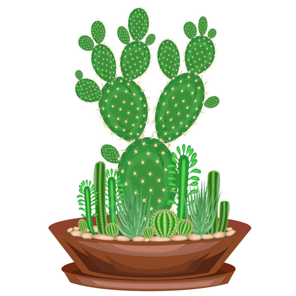 Collection of indoor plants in pots, cacti, succulents. The garden is in the bowl. Euphorbia, scarlet vera, Mammillaria. Lovely hobby for collectors. Decoration of the house. Vector illustration - Vector, Image