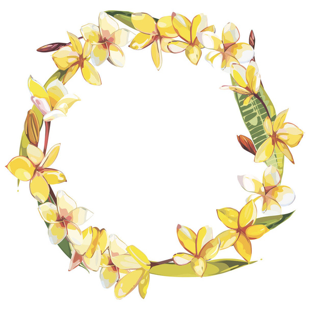 Banner, poster with plumeria flowers, jungle leaf. Beautiful floral tropical summer background. - Valokuva, kuva
