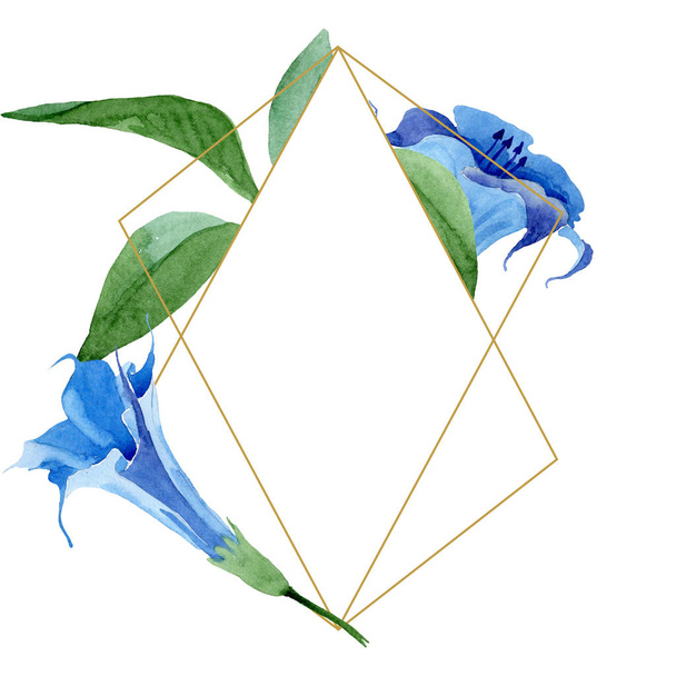 Μπλε Brugmansia floral βοτανική λουλούδια. Σύνολο εικονογράφησης φόντου. Κορνίζα περίγραμμα στολίδι τετράγωνο. - Φωτογραφία, εικόνα