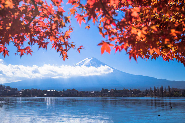 Színes őszi szezon és a Mount Fuji és juharlevelek a tó Kawaguchiko Japánban - Fotó, kép