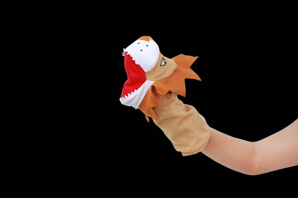 Hand wearing Lion puppets isolated on black background, Lion head. - Фото, изображение