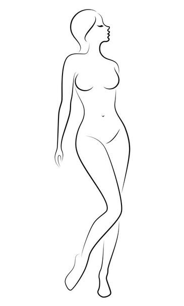 Silhouette of a sweet standing lady. The girl has a beautiful figure. Vector illustration. - Vecteur, image
