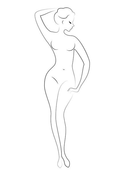 Silhouette of a sweet graceful lady. The girl has a beautiful slim figure. A woman is standing. Vector illustration. - Vector, Image