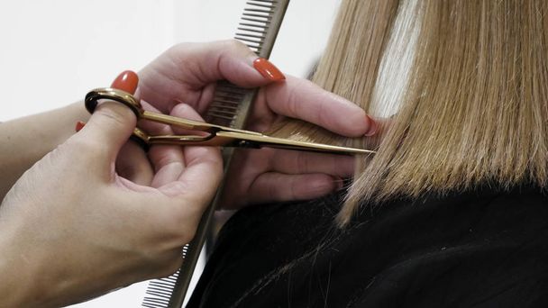 Primo piano della mano dell'estetista con un pettine che taglia i capelli della donna
 - Foto, immagini