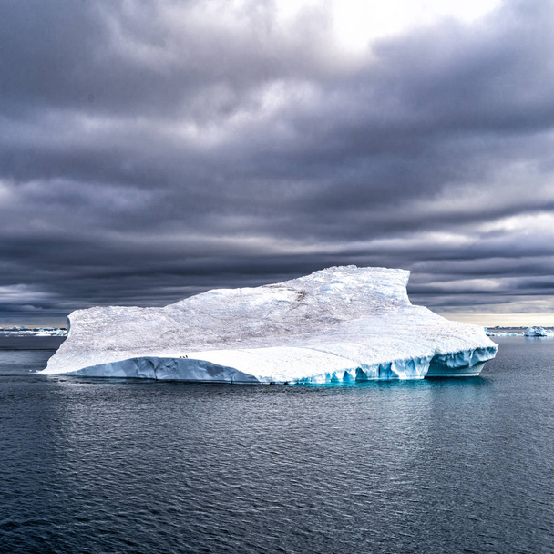 Ledovce v Antarktidě moři - Fotografie, Obrázek