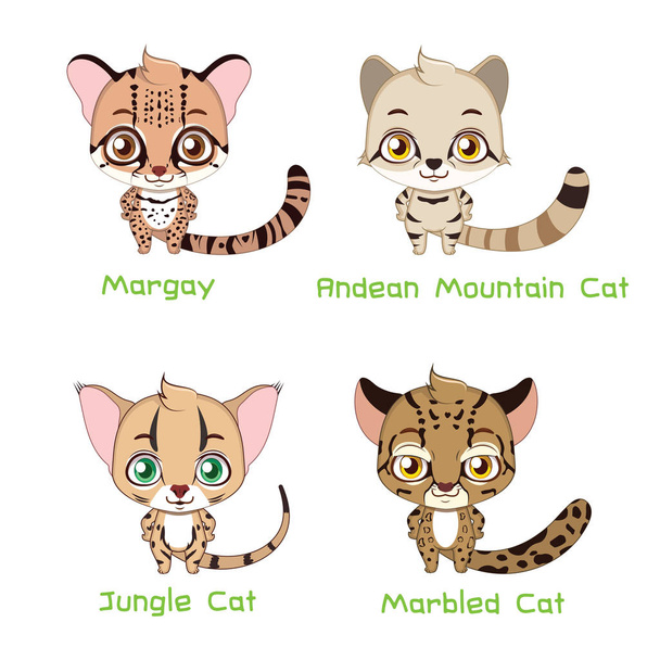 Set of various wild cat species - Вектор, зображення