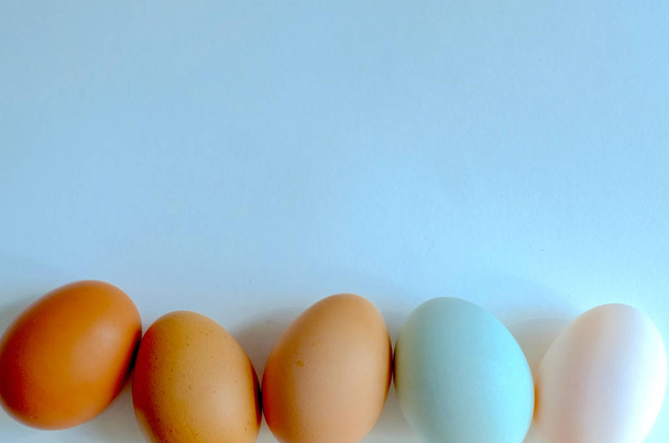 Kananmunan ja ankanmunan taustan sekoitus
 - Valokuva, kuva