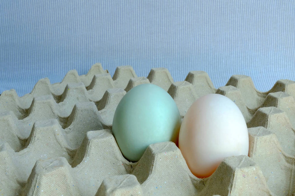 Bílé a modré kachní vejce na tác s papírem - Fotografie, Obrázek