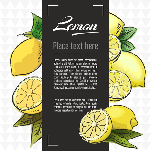 Lemon fruit vector menu design templates. Vector fruit illustration with hand drawn doodles for greeting card, banner - Vector, Image